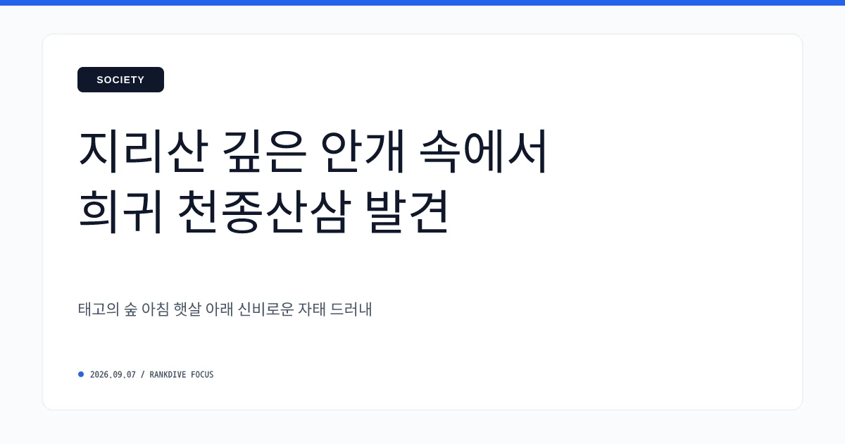 지리산에서 100년산 '천종산삼' 무더기 발견