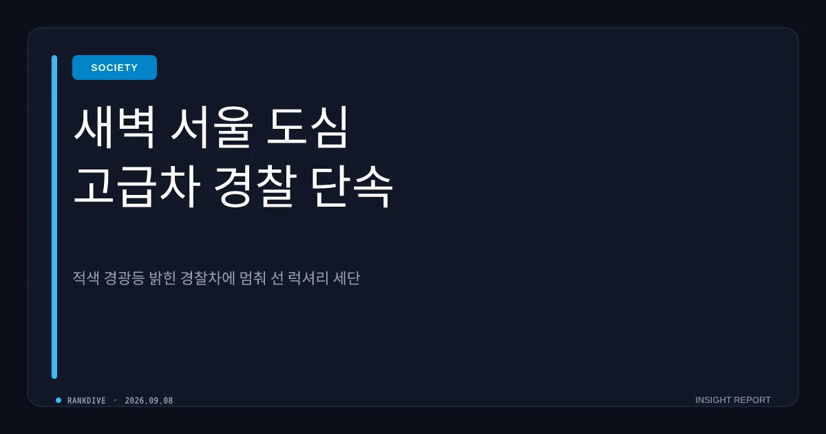 방송인 낸시랭, 새벽 강남서 만취 음주운전으로 경찰 입건