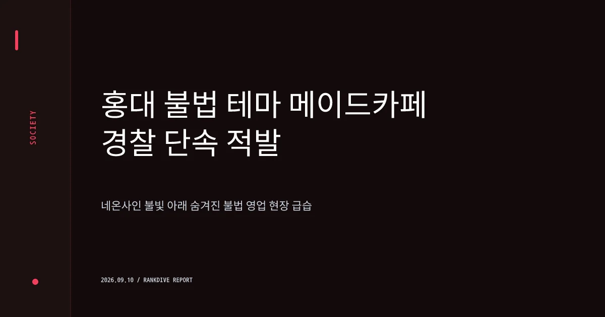 홍대 일대 변종 '메이드 카페' 불법 영업 적발