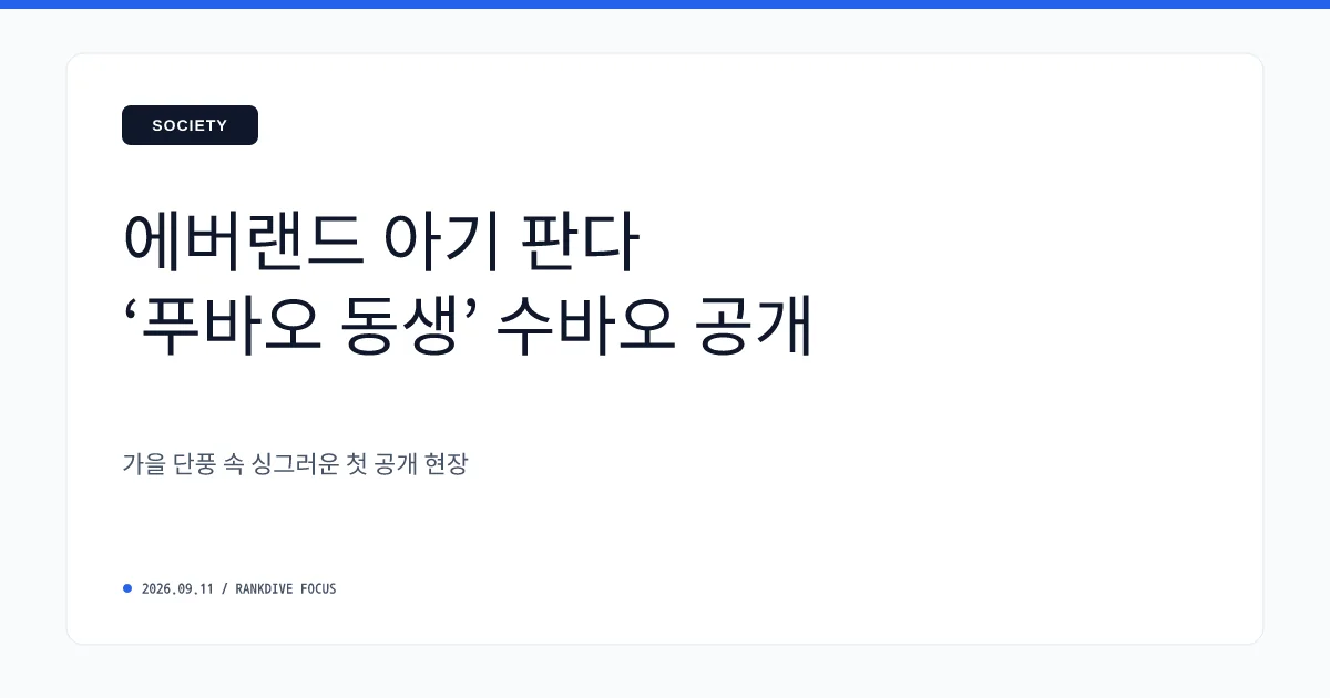 에버랜드 막내 판다 이름 '슈바오' 공개…생후 100일 만에 폭풍 성장