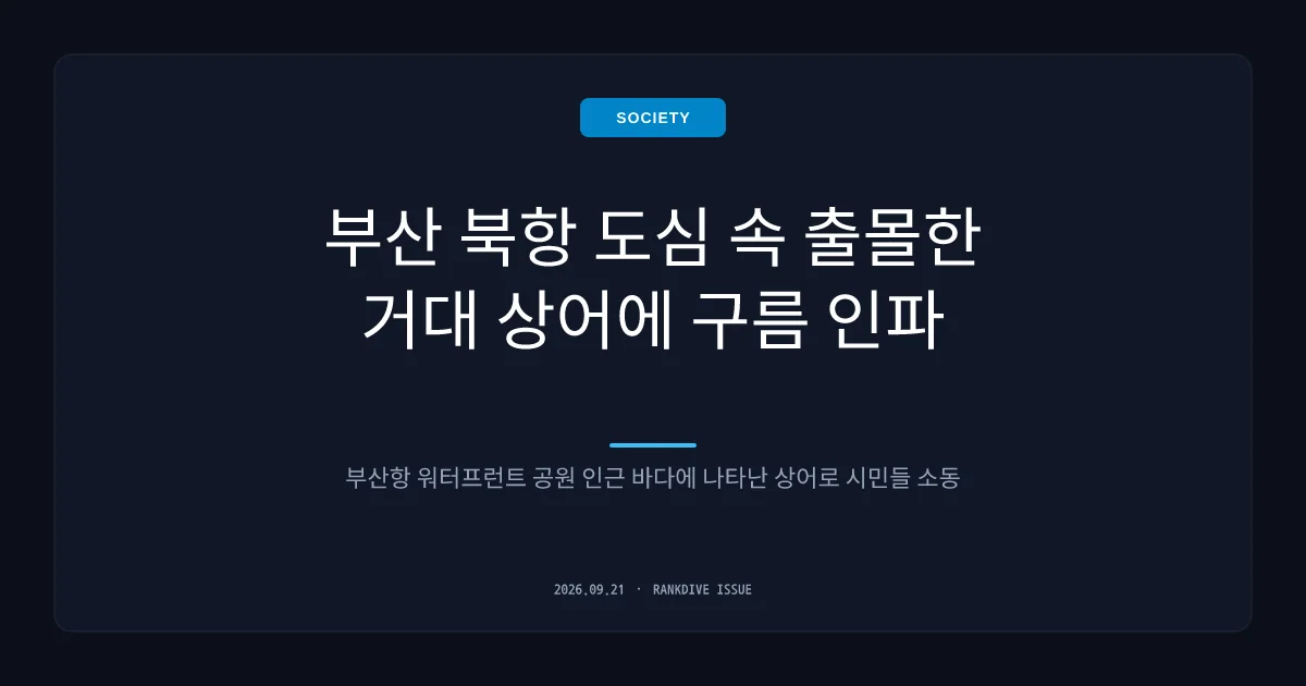 부산 북항 친수공원에 나타난 대형 상어에 인파 몰려 '특수'