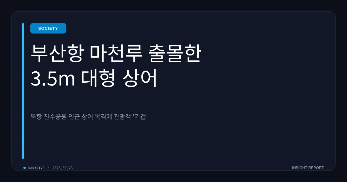 부산 북항에 나타난 3.5m 상어 '부캉이'… 연일 관광객 인파 및 안전 우려 속 대책 고심