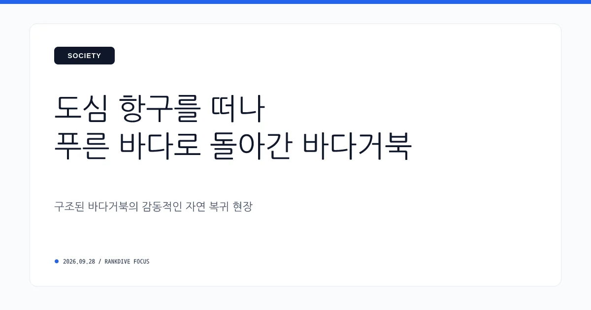 부산 북항 체류 산소 공급 거북 '부캉이' 바다로 복귀 유도